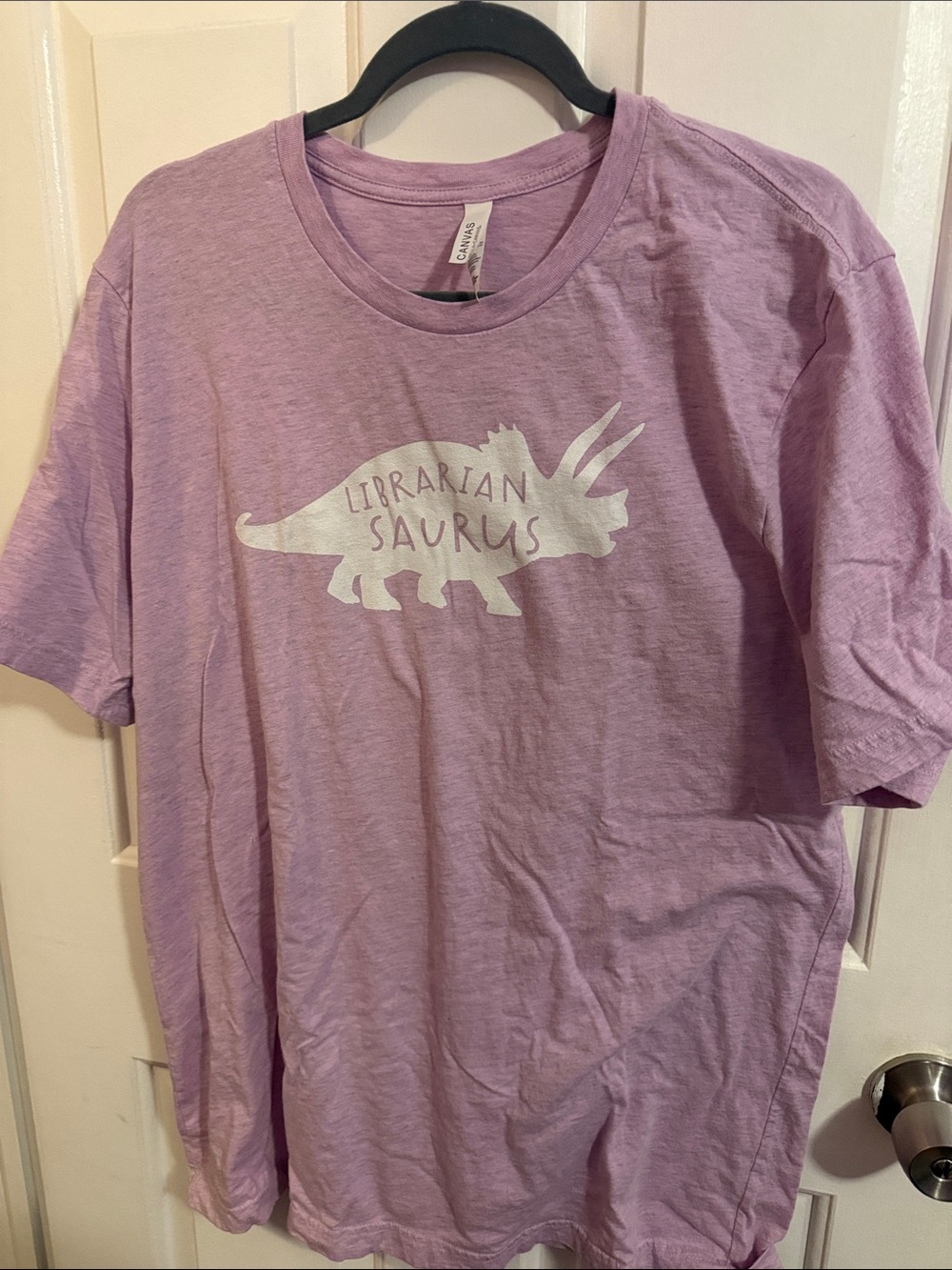 Librarian Dinosaur Shirt
